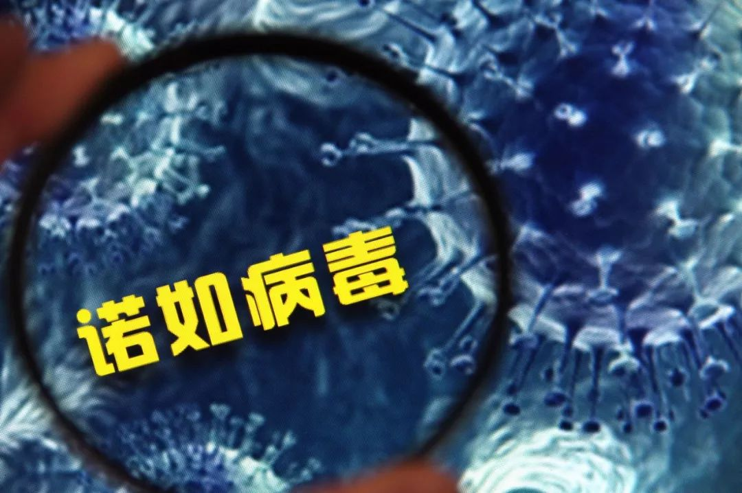 微信图片_20230324140305.png